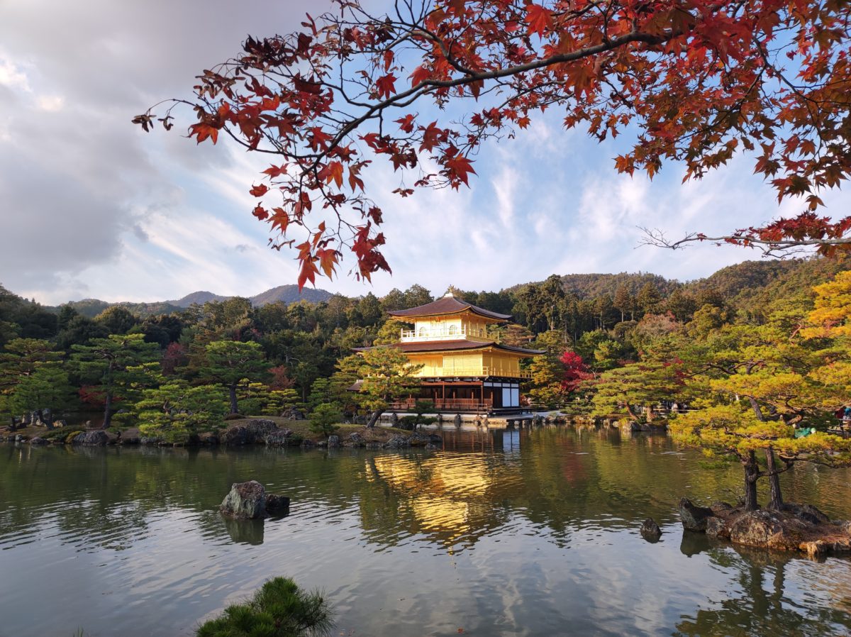 【伊丹空港】紅葉の京都をぶらぶら王道コースひとり旅
