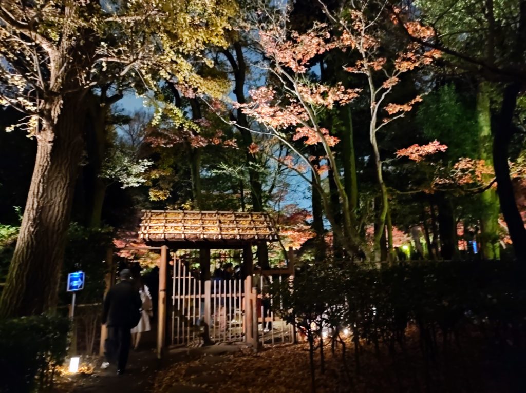 太田黒公園ライトアップ