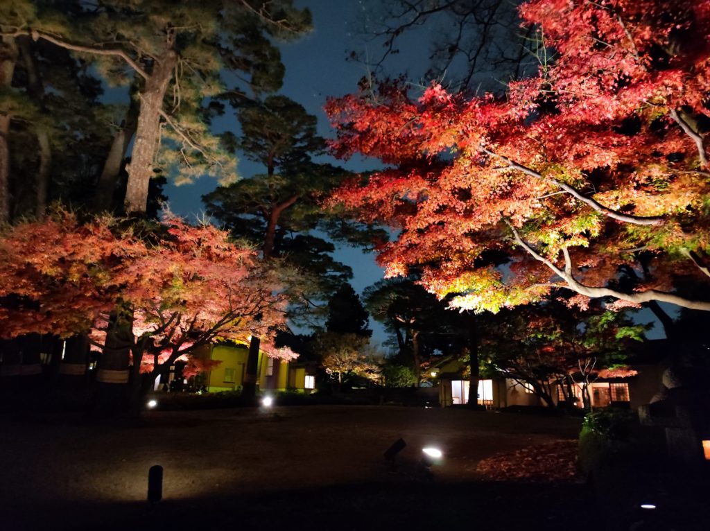 太田黒公園ライトアップ